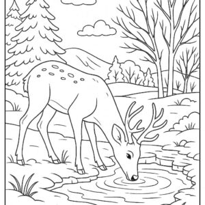 Deer drinking water from icy pond