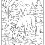 Deer drinking water from icy pond