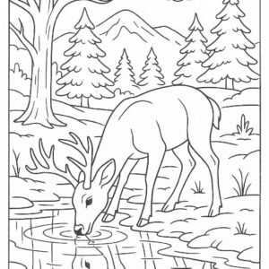 Deer drinking water from icy pond