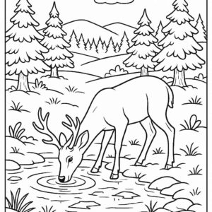 Deer drinking water from icy pond